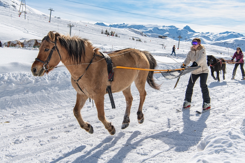 cheval qui tire une femme a ski sur une piste de ski