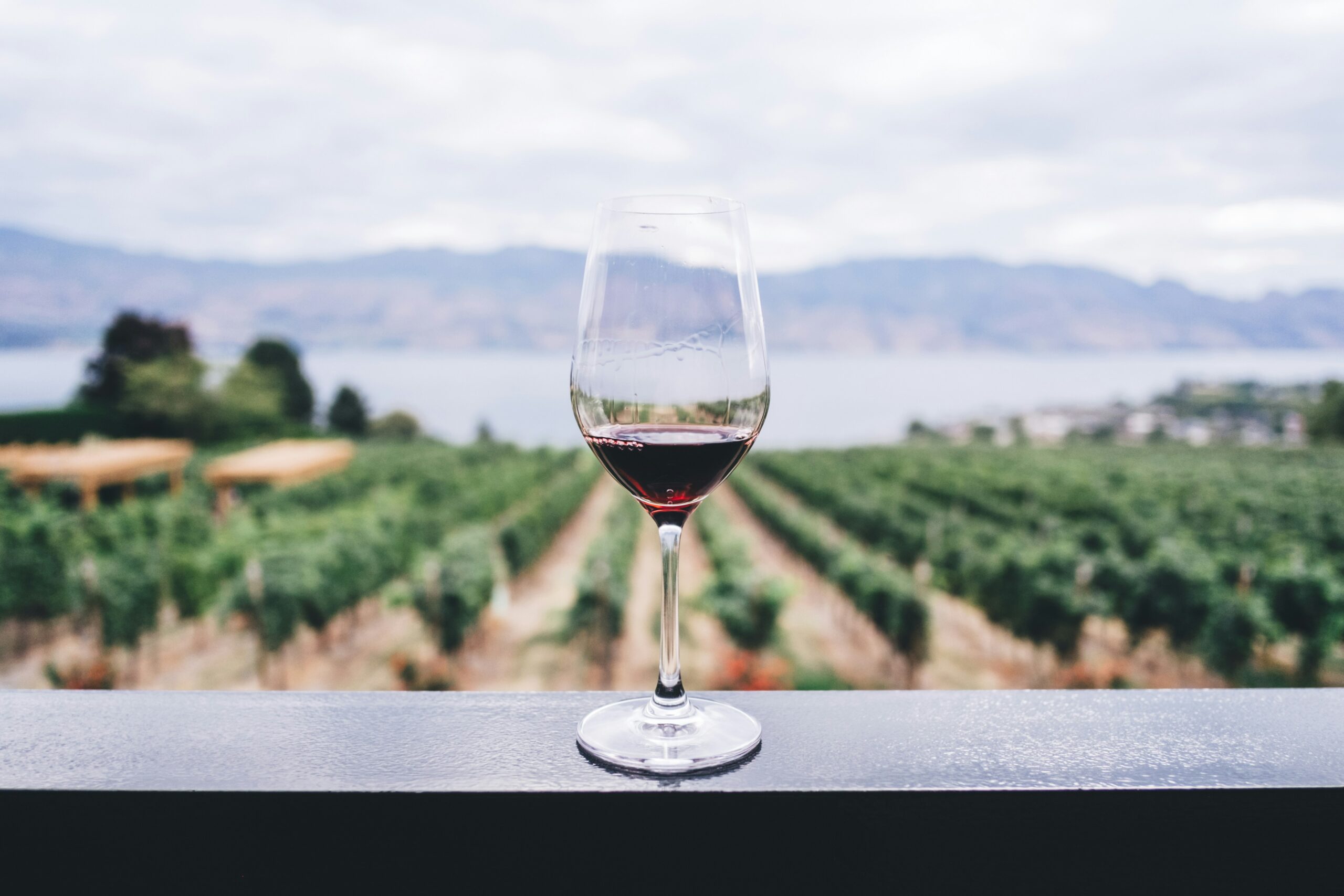 Dégustation de vins entre copines lors d’un EVJF près de Montpellier, visite de domaines viticoles du Languedoc.