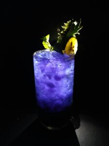 Atelier cocktail à domicile à Deauville animé par un barman professionnel pendant un EVJF