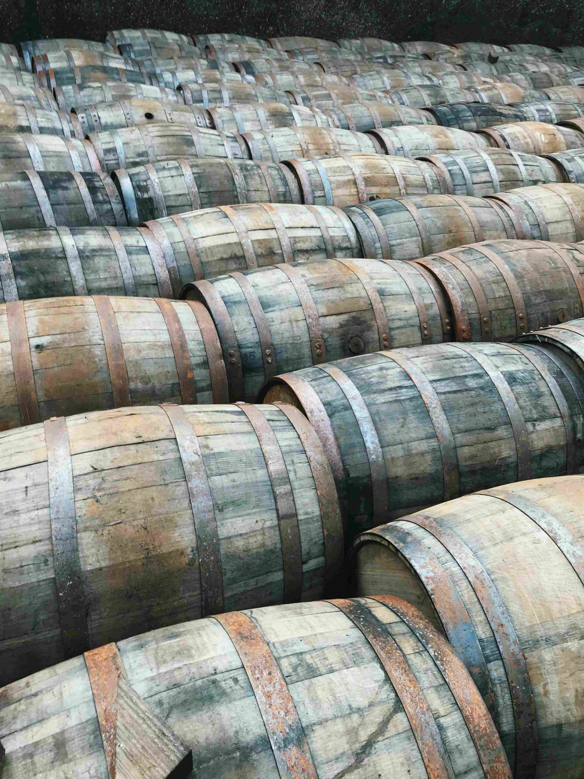 Vue extérieure d’une distillerie traditionnelle en Normandie avec un groupe de femmes en balade dans les vergers, panier de dégustation à la main.