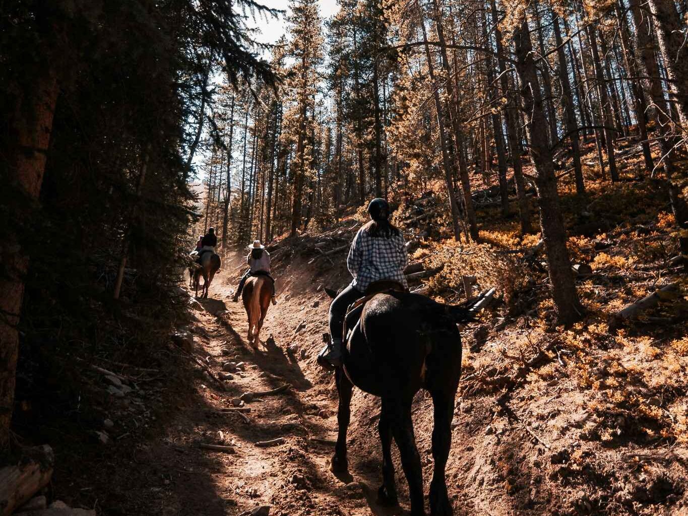 Cavalières en balade à cheval à travers la campagne normande près de Deauville sous un ciel ensoleillé