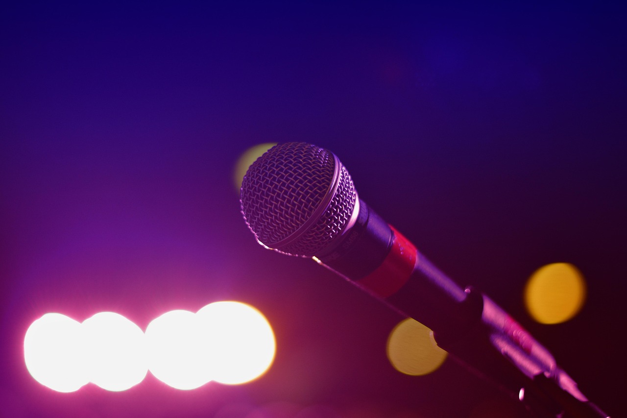 Texte alternatif : Groupe de femmes en train de chanter au karaoké pendant un enterrement de vie de jeune fille à Lille, ambiance fun, micro à la main et éclats de rire.