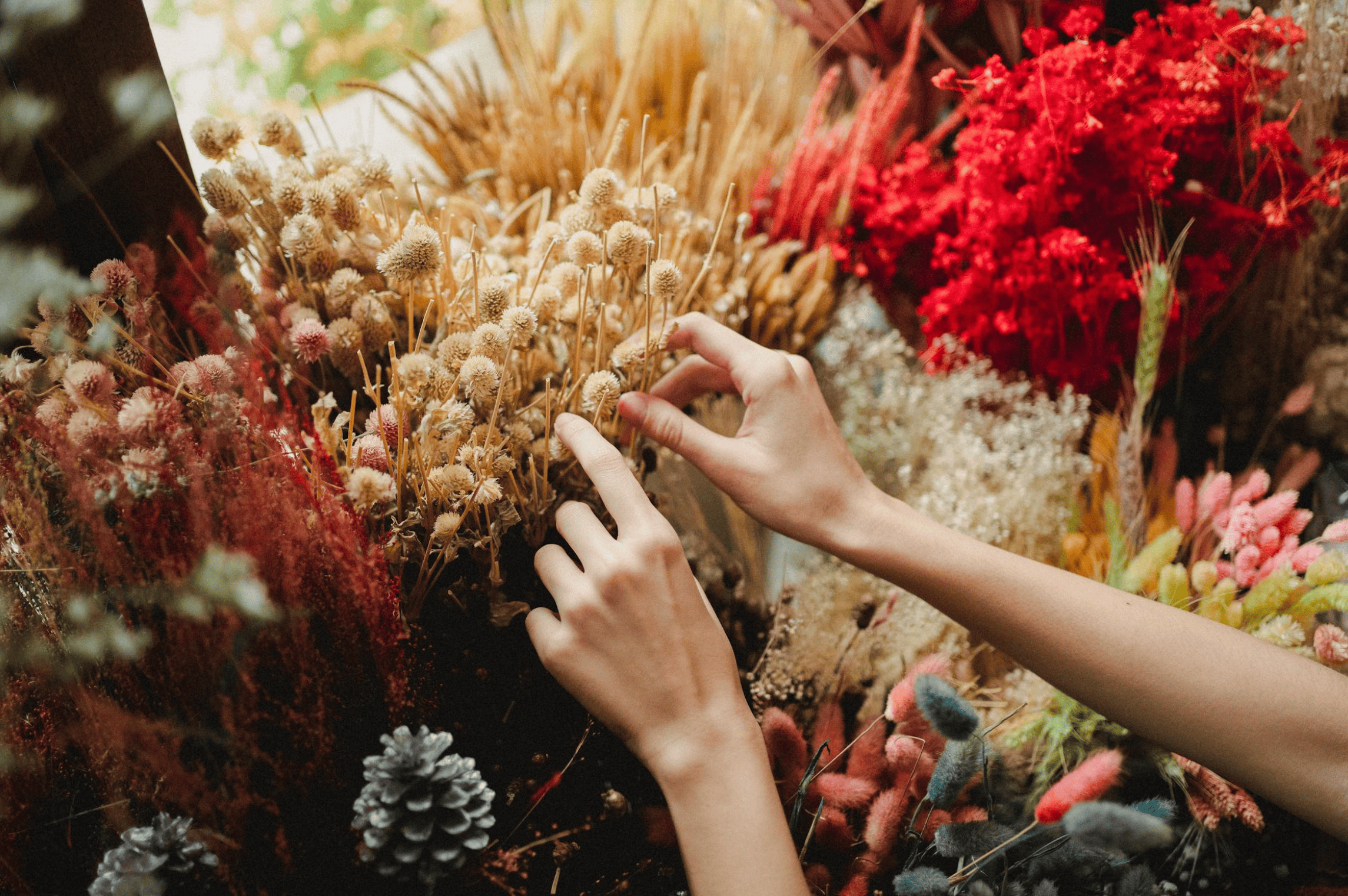 Fleurs séchées colorées utilisées lors d’un atelier floral EVJF à Strasbourg, prêtes à être assemblées en couronnes ou décorations.