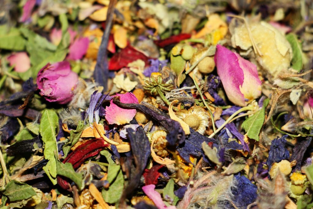 Mélange de fleurs séchées et de plantes aromatiques pour atelier de parfum EVJF