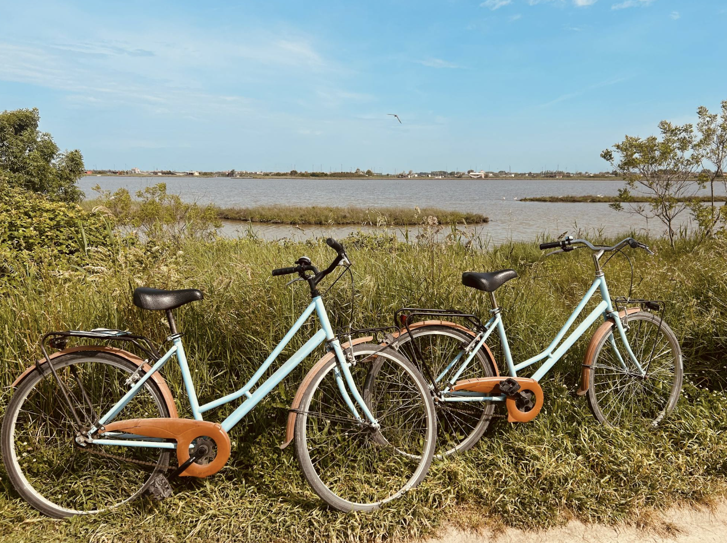 EVJF balade en vélo : vélo dans la nature