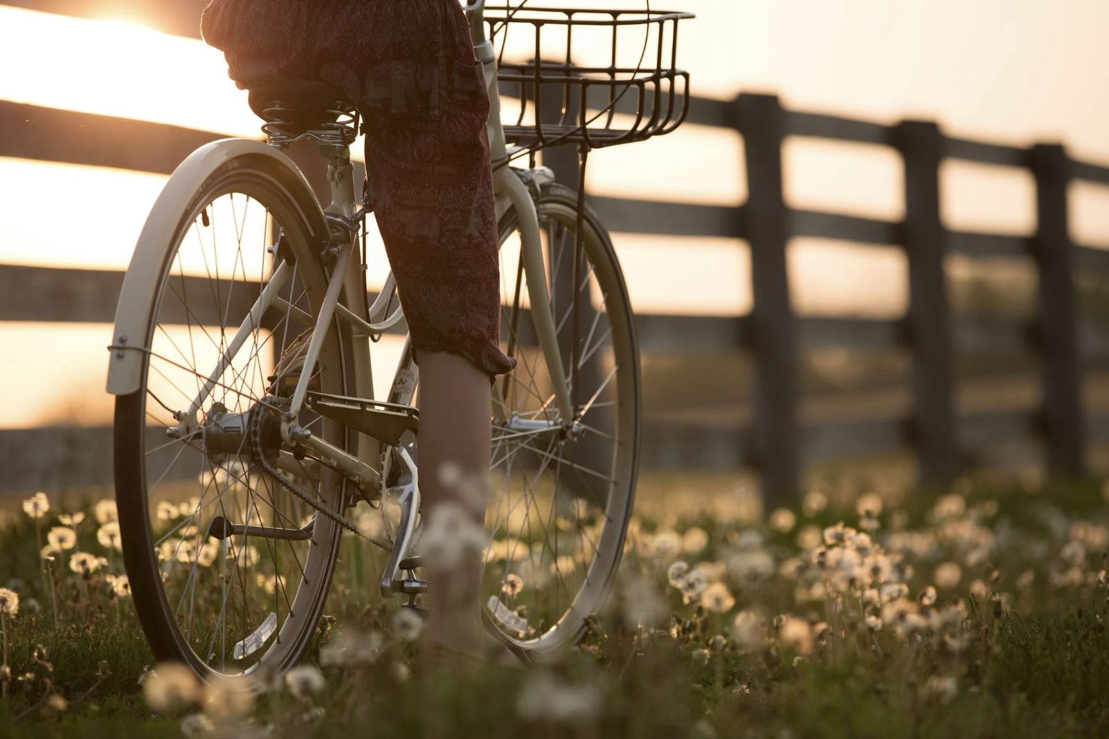 EVJF à Toulouse : les participantes profitent d’une balade à vélo ensoleillée entre amies.