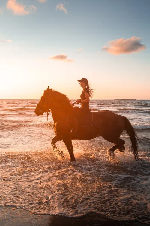 Cavalière galopant sur un cheval au bord de la mer au coucher du soleil, éclaboussures et lumière dorée sur l’eau