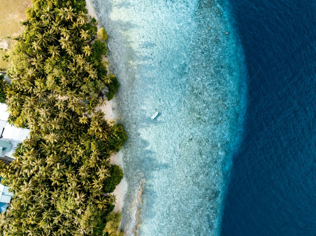 Vue aérienne d’une plage tropicale bordée de palmiers et d’eau turquoise aux Maldives