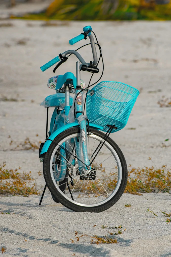 Vélo électrique prêt pour une balade EVJF dans les vignobles de la côte marseillaise.