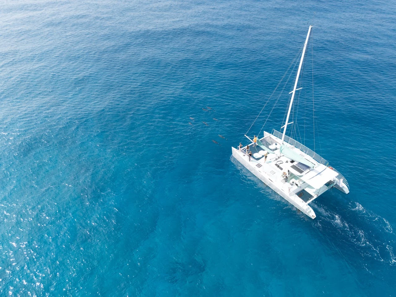 Catamaran blanc naviguant en pleine mer turquoise vu du ciel avec quelques passagers à bord.