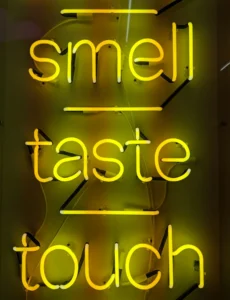 Photo artistique d’une enseigne néon jaune affichant smell, taste, touch, idéale pour illustrer les sens dans un jeu ou une animation.