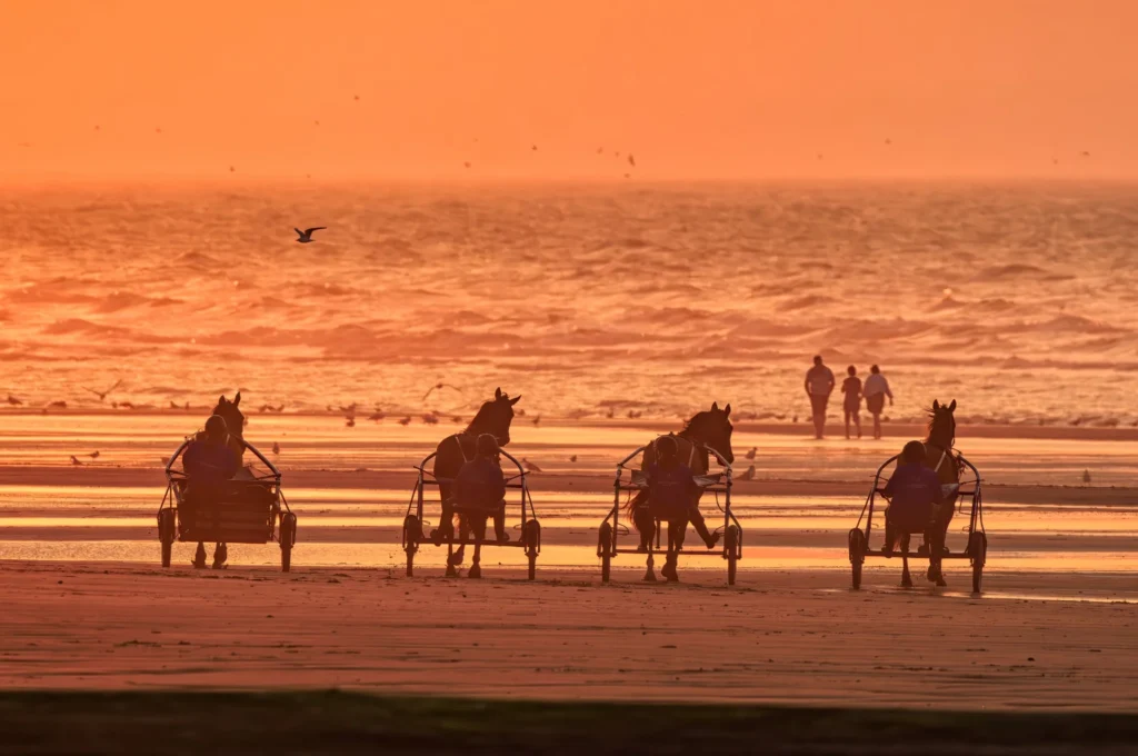 Sulkys tirés par des chevaux sur la plage de Cabourg au coucher du soleil