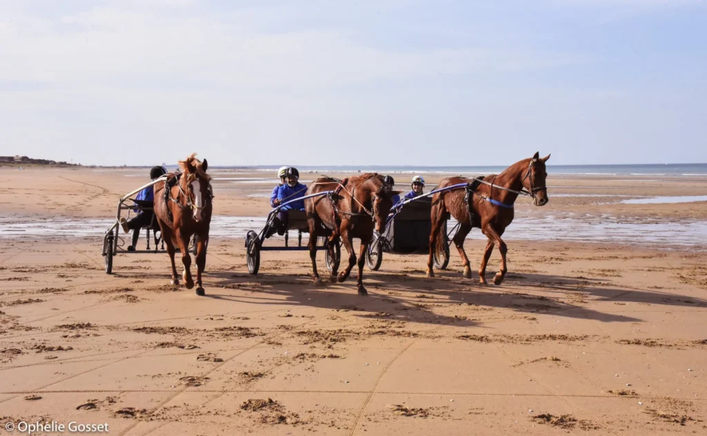 Groupe de participantes en sulky sur la plage de Cabourg avec chevaux