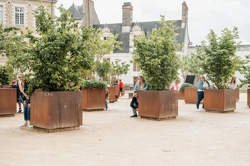 groupe de femmes jouant à cache cache entre des arbres dans une cour à nantes pendant un evjf