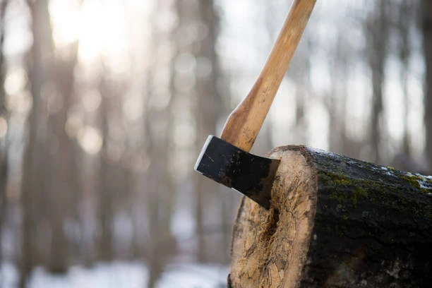 hache plantée dans une bûche lors d’une activité de lancer de hache evjf au touquet paris plage