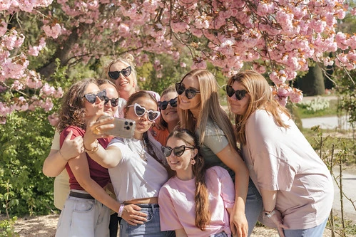 groupe de femmes prenant un selfie  sous des fleurs de cerisier en pleine lumiere